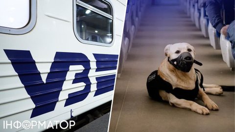 Купив 4 місця для великої собаки в купе — що буде, якщо вагон відчеплять або місць не знайдеться: відповідь Укрзалізниці