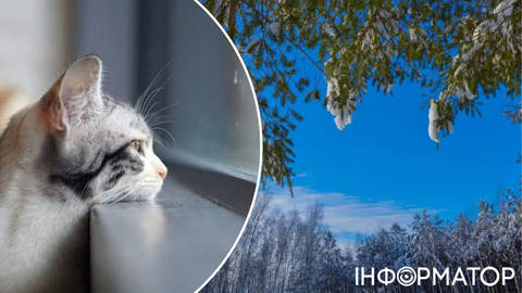 Синоптиков замучили вопросами возвращения похолодания, и они ответили – прогноз погоды на 24 февраля