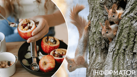 Черт побери - зима возвращается: прогноз погоды на 26 февраля