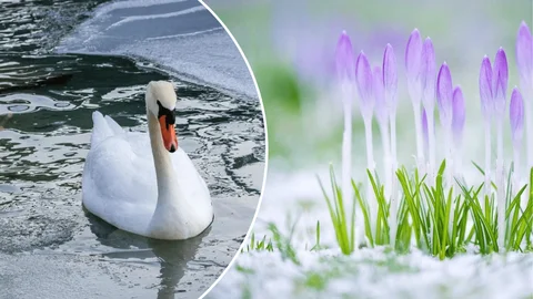 Напад холодів на весну – прогноз погоди на 3 березня