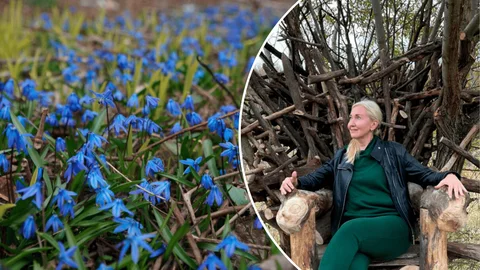 Женское праздник не будет испорчен – прогноз погоды на 8 марта