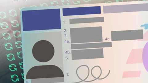 Иностранное водительское удостоверение можно обменять на украинское: инструкция от МВД