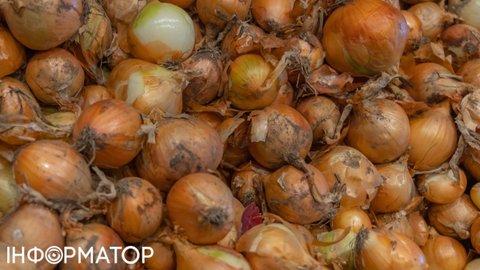 Дешевше лише даром: огляд цін на цибулю в супермаркетах