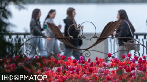 Перейти c временной защиты на ВНЖ в ЕС: самые простые страны для украинцев в 2026 году