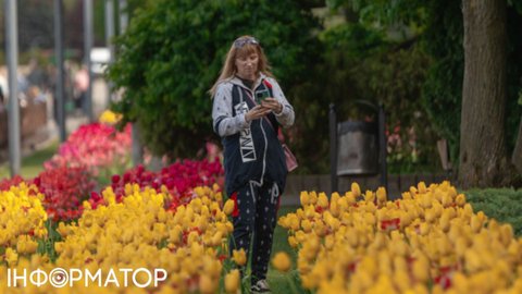 Мошенники шлют SMS якобы от Telegram: Киберполиция раскрывает суть схемы