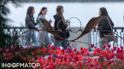 Вартість навчання у вишах зростатиме: у МОН кивають на професорські зарплати