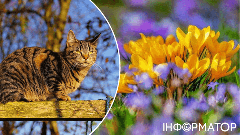 Наближається похмура п’ятниця, але є й чималий плюс – прогноз погоди на 3 квітня