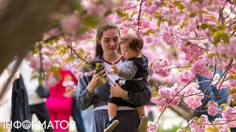 Польща змінила правила для українців – тепер потрібен статус CUKR