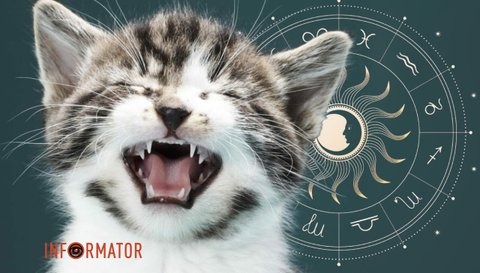 Гороскоп на 6 апреля: полет сквозь бурю