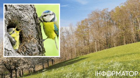 Украина обратилась лицом к лету – прогноз погоды на 16 апреля