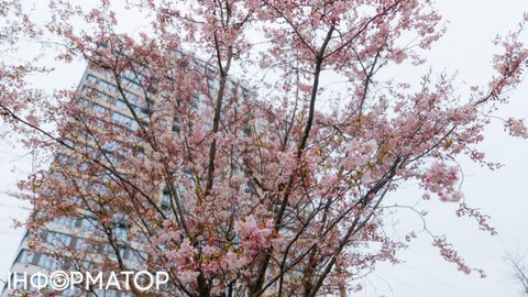 Мошеннические схемы при покупке недвижимости: юрист раскрывает все тайны