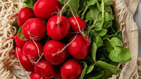 Редиска в супермаркетах Украины: сравнение цен и прогноз удешевления