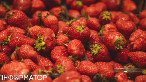 В Закарпатті почали збирати свіжу полуницю: огляд цін в супермаркетах