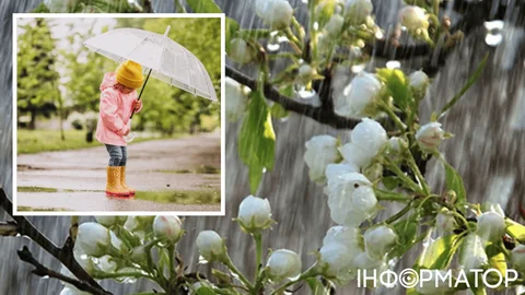 Скрепя сердце, синоптики признались, когда закончится холодрыга – прогноз погоды на 21 апреля