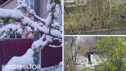 Зима посеред весни: сніг і морози до зафіксували в кількох регіонах України 24 квітня