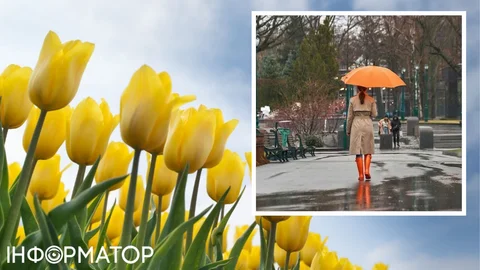 Первое более-менее приличное тепло уже видно - прогноз погоды на 26 апреля.