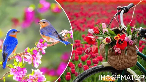 Атмосфера старається, як може, читаючи наші соцмережі – прогноз погоди на 27 квітня