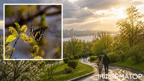 Следующая неделя порадует еще больше – прогноз погоды в Украине на 30 апреля