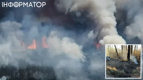На Чернігівщині через обстріли РФ палає 2400 гектарів лісу