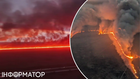 Во Флориде вспыхнул масштабный лесной пожар – огонь приблизился к жилым районам
