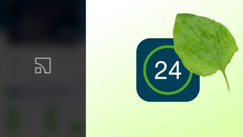 Приват24 не працює - у ПриватБанку підтвердили технічний збій з авторизацією