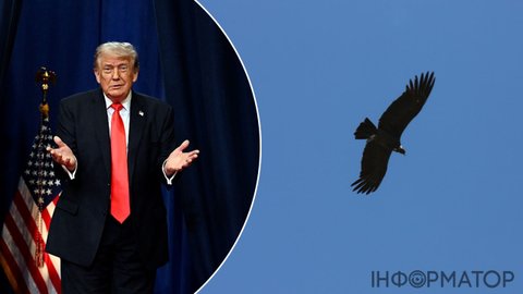 Трамп сплутав звичайну пташку з дроном та розсмішив публіку своїм переляком
