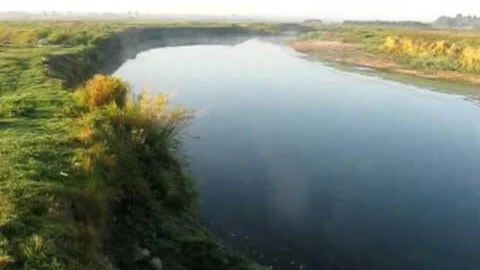 Луцькводоканал заплатить 8,2 млн грн за дохлу рибу в річці Стир - рішення суду