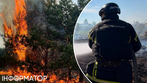 Російський дрон спричинив масштабну пожежу на Чернігівщині - вигоріло 7 гектарів