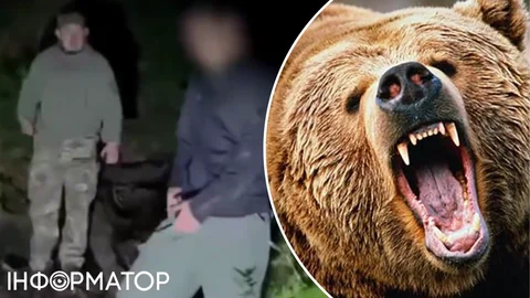 В Карпатах медведица чуть не загрызла уклониста из Киева