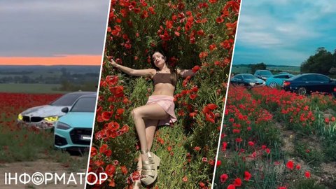 Христина Соловий должна компенсировать ущерб фермеру - доказательства есть на фото