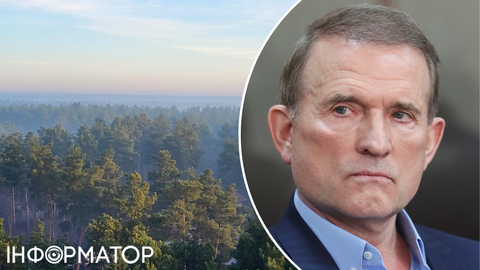 Державі повернули 10 гектарів лісу на Київщині, які незаконно належали Медведчуку - Офіс генпрокурора