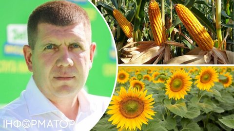 НАБУ завершило расследование дела экснардепа Гунько об агропродукции почти на 30 млн грн - материалы передали в суд