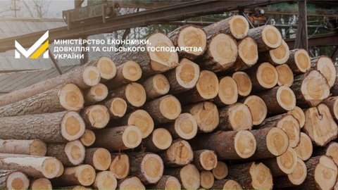Кабмін дозволив рубати більше дерев, у тому числі в Карпатах