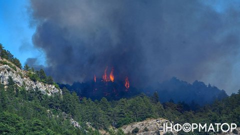 Лісова пожежа знищила 800 гектарів - Франція скасовує свята на день Бастилії