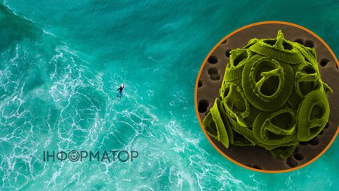 Чорне море стало зеленим, це помітно навіть з космосу - вчені радять не панікувати