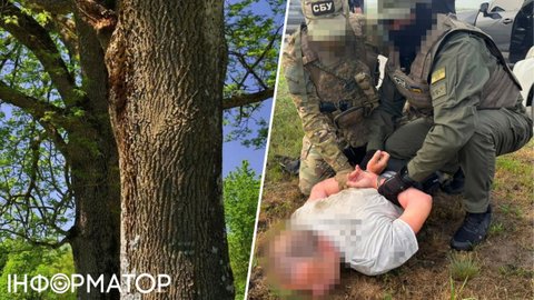 Агент ФСБ стежив за цілями на Харківщині через "відеопастки" на деревах - його затримала СБУ