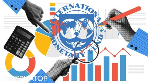 Зобов'язання України перед МВФ у сфкрі фінмоніторингу розкрила народна депутатка