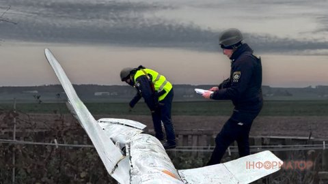 Боровик пояснив, чому країни-партнери просять Україну збивати власні дрони, а не роблять це самостійно