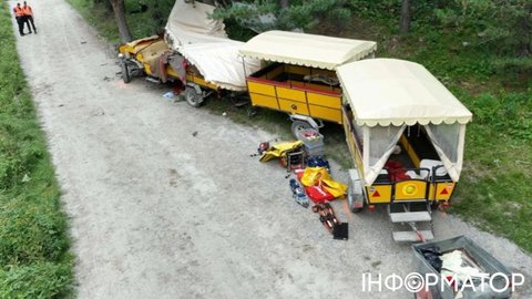 У Швейцарії кінна карета з туристами врізалась у дерево, є загибла