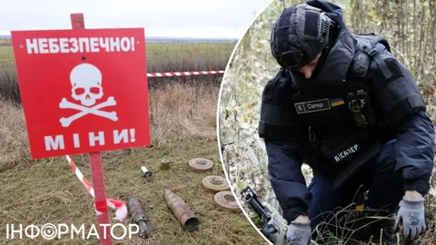 Заміновані території України вшестеро більші за площу Ізраїлю - аналітики