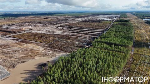 У Фінляндії вовки почали нападати на села - все через дата-центри Google