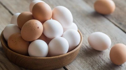 Україна за 9 місяців наростила експорт яєць на 20% - огляд цін в супермаркетах