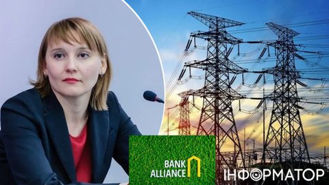 НАБУ розшукує ексголову правління Банку Альянс Фролову - все через втрачені 716 млн грн Укренерго
