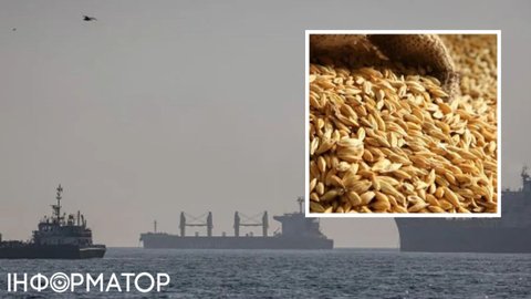 РФ возобновляет морской экспорт зерна из Азовского моря после трехмесячной паузы из-за атак украинских дронов