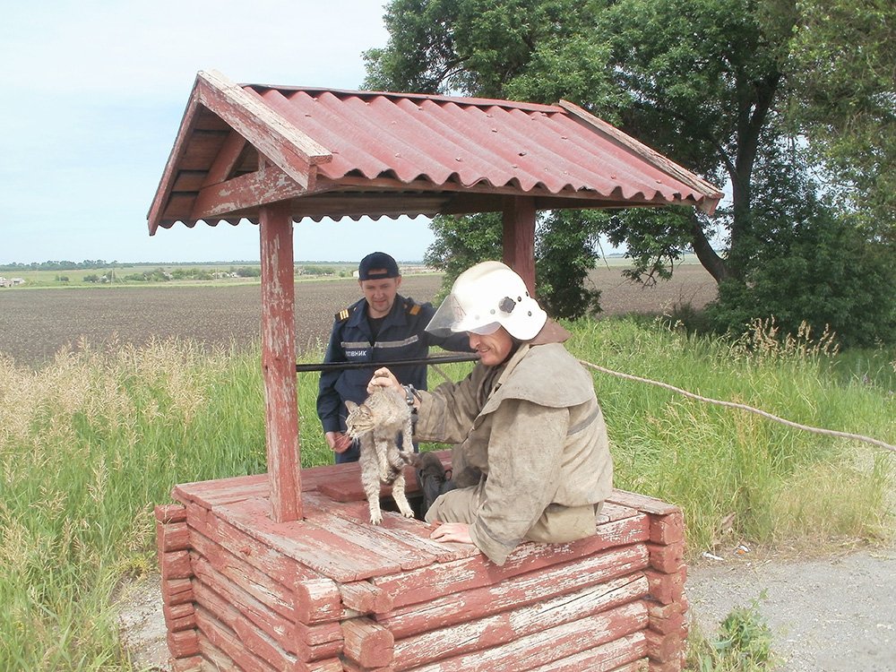 На Днепропетровщине спасатели достали кота из колодца с питьевой водой