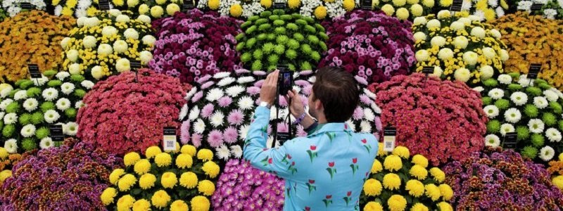 В Днепре на День города пройдет Dnipro Flower Show