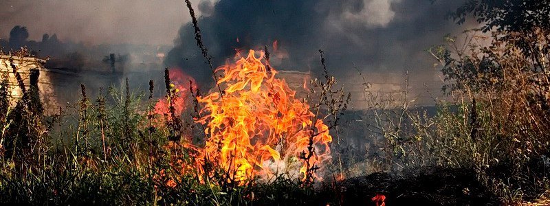 Много огня: на Донецком шоссе возле заправки WOG горела сухая трава