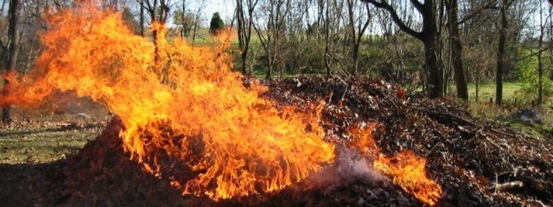 Екологи застерігають: спалювати листя небезпечно та шкідливо