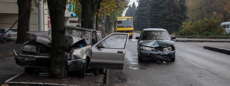 ДТП на проспекте Гагарина: Renault влетел в дерево