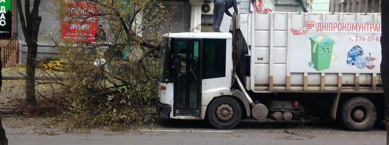 В центре Днепра дерево упало на мусоровоз